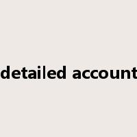 detailed account是什么意思