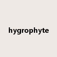 hygrophyte是什么意思
