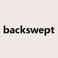 backswept是什么意思