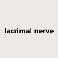 lacrimal nerve是什么意思
