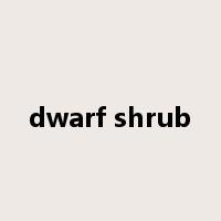 dwarf shrub是什么意思