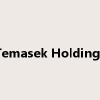 Temasek Holdings是什么意思