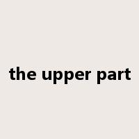 the upper part是什么意思