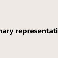 binary representation是什么意思