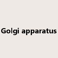 Golgi apparatus是什么意思