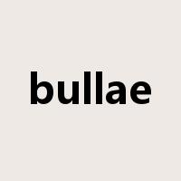 bullae是什么意思