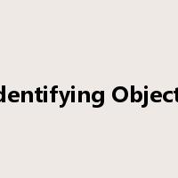 Identifying Objects是什么意思