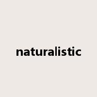 naturalistic是什么意思