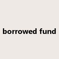 borrowed fund是什么意思