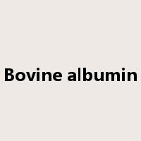 Bovine albumin是什么意思