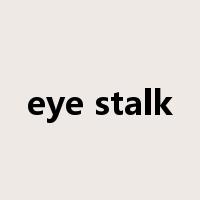eye stalk是什么意思