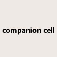 companion cell是什么意思