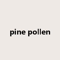 pine pollen是什么意思