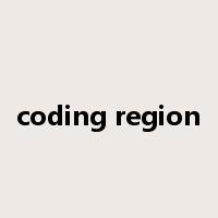 coding region是什么意思