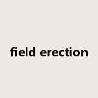 field erection是什么意思