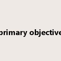 primary objective是什么意思