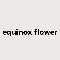 equinox flower是什么意思
