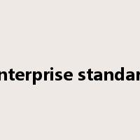 enterprise standard是什么意思