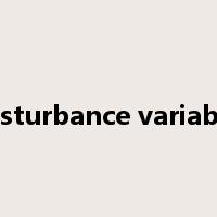 disturbance variable是什么意思