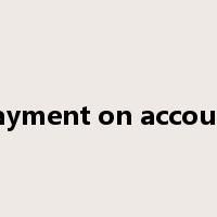payment on account是什么意思
