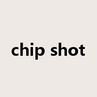 chip shot是什么意思