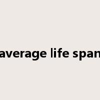 average life span是什么意思