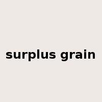 surplus grain是什么意思