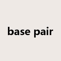 base pair是什么意思