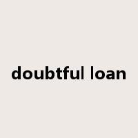 doubtful loan是什么意思