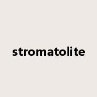 stromatolite是什么意思