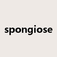 spongiose是什么意思