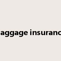 baggage insurance是什么意思