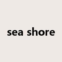 sea shore是什么意思