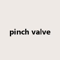 pinch valve是什么意思