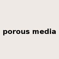 porous media是什么意思