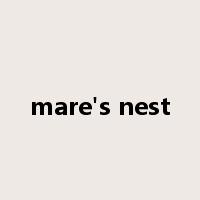 mare's nest是什么意思