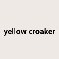 yellow croaker是什么意思