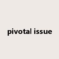 pivotal issue是什么意思