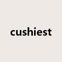 cushiest是什么意思