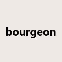 bourgeon是什么意思