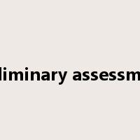 preliminary assessment是什么意思