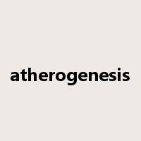 atherogenesis是什么意思