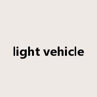light vehicle是什么意思