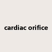 cardiac orifice是什么意思