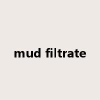 mud filtrate是什么意思