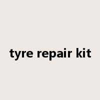 tyre repair kit是什么意思