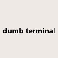 dumb terminal是什么意思