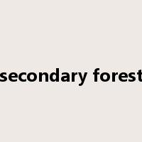 secondary forest是什么意思