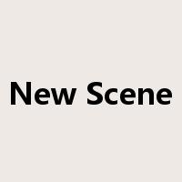 New Scene是什么意思