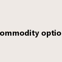 commodity option是什么意思